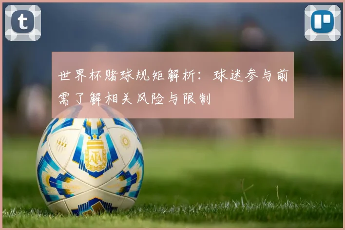 世界杯赌球规矩解析：球迷参与前需了解相关风险与限制