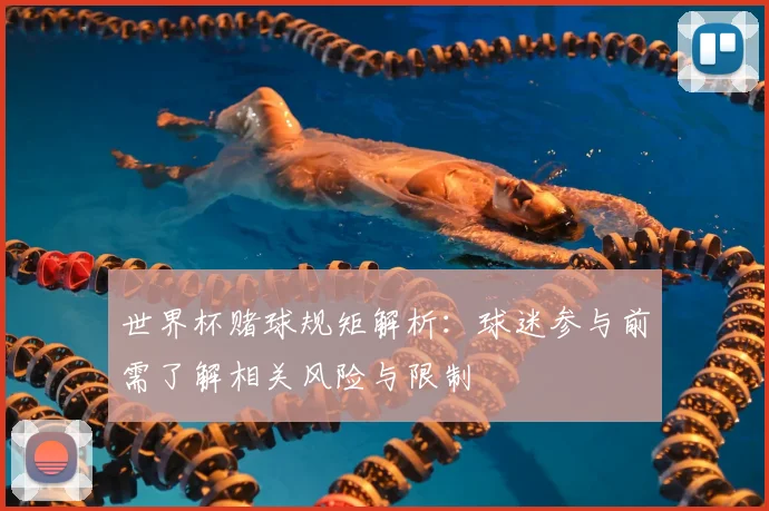 世界杯赌球规矩解析：球迷参与前需了解相关风险与限制