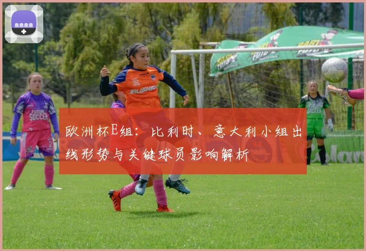 欧洲杯E组：比利时、意大利小组出线形势与关键球员影响解析