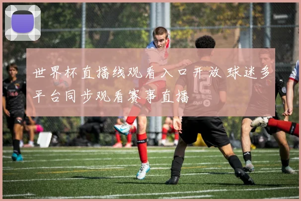 世界杯直播线观看入口开放 球迷多平台同步观看赛事直播